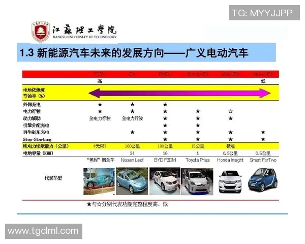 武汉排球队全运会精彩表现解析团队协作的重要性与未来展望